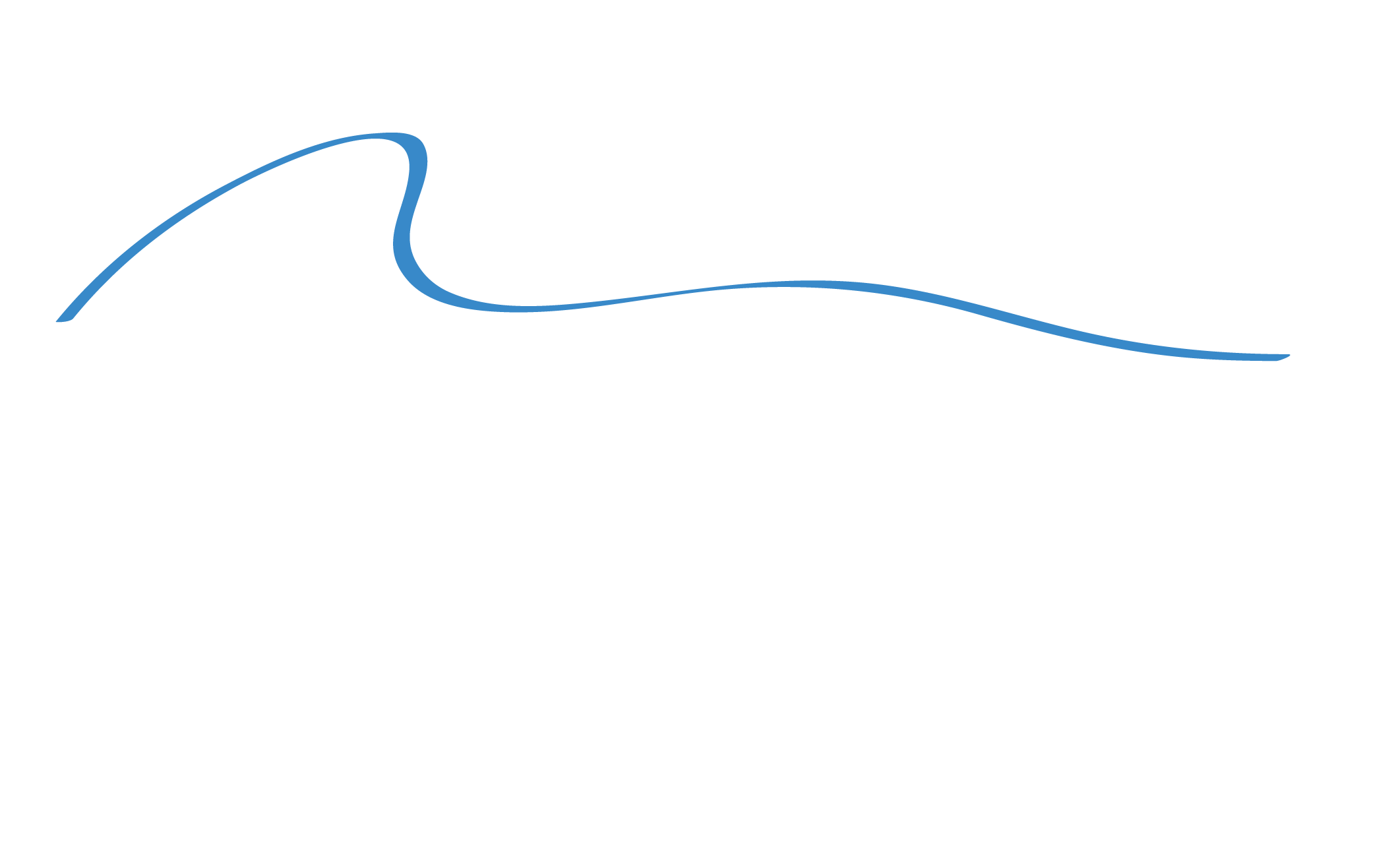 Logo Monaco Limousine Services